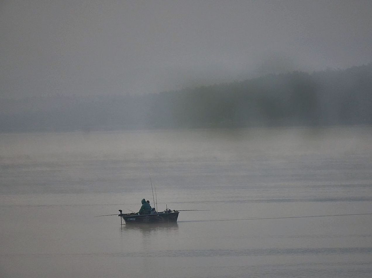 Pescador experiente